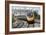 Pendolino Tilting Train-Martin Bond-Framed Photographic Print