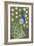 Penelope B Peacock-Blenda Tyvoll-Framed Giclee Print