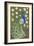 Penelope B Peacock-Blenda Tyvoll-Framed Giclee Print