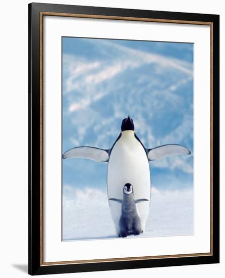 Penguin and Chick-null-Framed Art Print