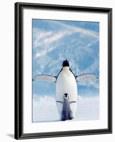 Penguin and Chick-null-Framed Art Print