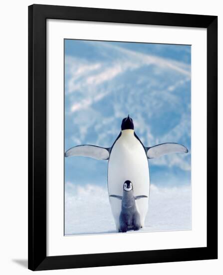 Penguin and Chick-null-Framed Art Print