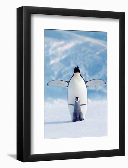 Penguin and Chick-null-Framed Art Print