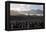 Penguin Breeding Colony Research-Charlotte Main-Framed Premier Image Canvas