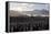 Penguin Breeding Colony Research-Charlotte Main-Framed Premier Image Canvas