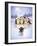 Penguin chorus-MAKIKO-Framed Giclee Print