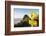 Penguin Crossing Sign-Paul Souders-Framed Photographic Print