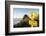 Penguin Crossing Sign-Paul Souders-Framed Photographic Print