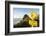 Penguin Crossing Sign-Paul Souders-Framed Photographic Print