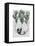 Penguin in Hammock Balloon-Fab Funky-Framed Stretched Canvas