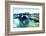 Penguin is under Water Looking at Camera-Aleksandar Todorovic-Framed Photographic Print