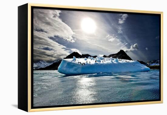 Penguin Island-Howard Ruby-Framed Premier Image Canvas