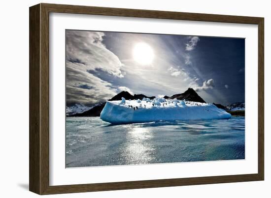 Penguin Island-Howard Ruby-Framed Photographic Print