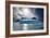 Penguin Island-Howard Ruby-Framed Photographic Print