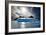 Penguin Island-Howard Ruby-Framed Photographic Print