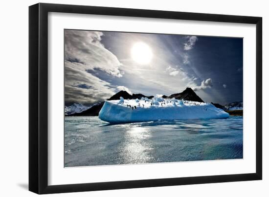 Penguin Island-Howard Ruby-Framed Photographic Print