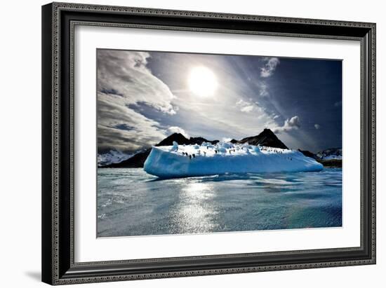 Penguin Island-Howard Ruby-Framed Photographic Print