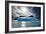 Penguin Island-Howard Ruby-Framed Photographic Print