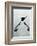 Penguin - Jethro Wilson Contemporary Wildlife Print-Jethro Wilson-Framed Art Print