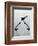 Penguin - Jethro Wilson Contemporary Wildlife Print-Jethro Wilson-Framed Art Print