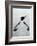 Penguin - Jethro Wilson Contemporary Wildlife Print-Jethro Wilson-Framed Art Print