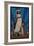 Penguin - Mosaic-Lantern Press-Framed Art Print