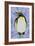 Penguin on Stained Glass-Pat Scott-Framed Giclee Print