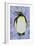 Penguin on Stained Glass-Pat Scott-Framed Giclee Print