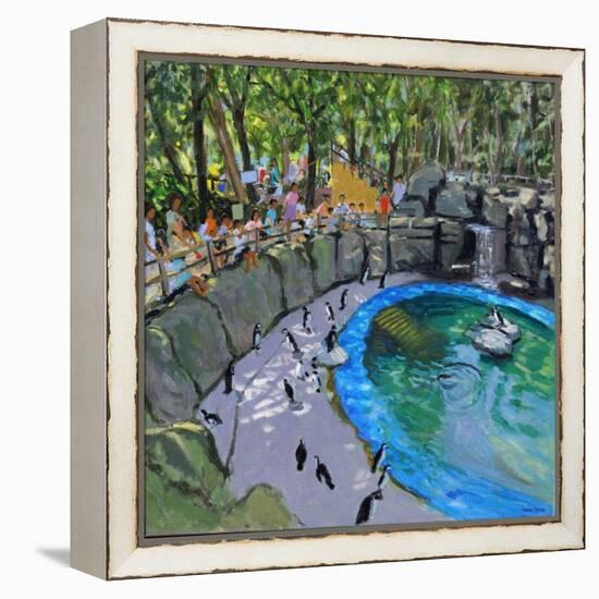 Penguin Pool, Madrid Zoo, 2015-Andrew Macara-Framed Premier Image Canvas