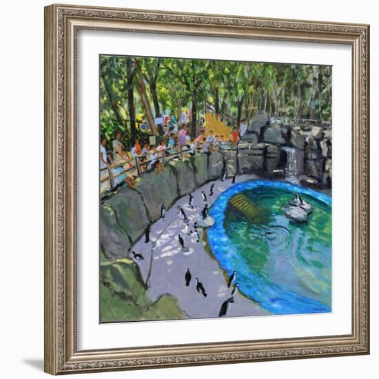 Penguin Pool, Madrid Zoo, 2015-Andrew Macara-Framed Giclee Print