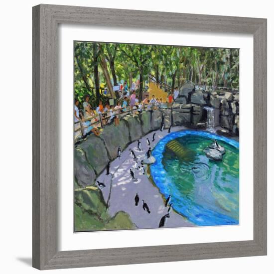 Penguin Pool, Madrid Zoo, 2015-Andrew Macara-Framed Giclee Print