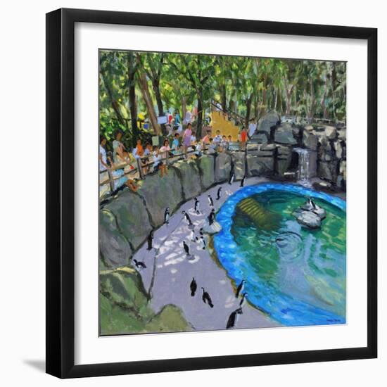 Penguin Pool, Madrid Zoo, 2015-Andrew Macara-Framed Giclee Print