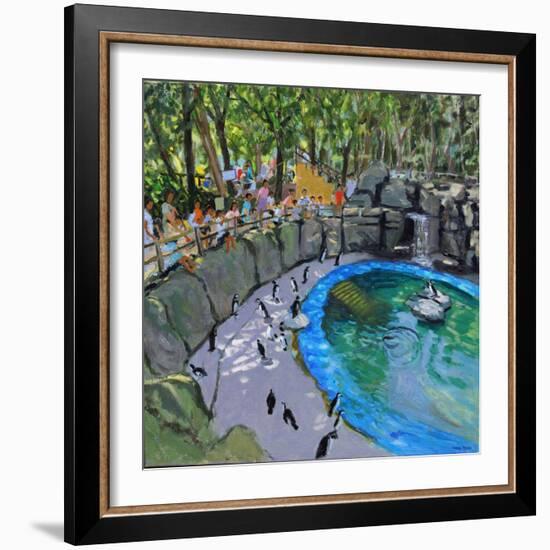 Penguin Pool, Madrid Zoo, 2015-Andrew Macara-Framed Giclee Print