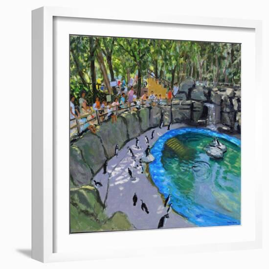 Penguin Pool, Madrid Zoo, 2015-Andrew Macara-Framed Giclee Print