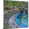 Penguin Pool, Madrid Zoo, 2015-Andrew Macara-Mounted Giclee Print