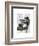 Penguin Reading Newspaper-Fab Funky-Framed Art Print