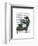 Penguin Reading Newspaper-Fab Funky-Framed Art Print