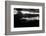 Penguin shot-Semir Catovic-Framed Photographic Print