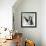Penguin Stroll-Anna Polanski-Framed Art Print displayed on a wall