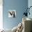 Penguin Stroll-Anna Polanski-Premium Giclee Print displayed on a wall