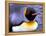 Penguin, Sub-Antarctic, South Georgia Island-Gavriel Jecan-Framed Premier Image Canvas