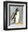 Penguin-Beth Sheffield-Framed Art Print