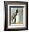 Penguin-Beth Sheffield-Framed Art Print