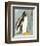 Penguin-Beth Sheffield-Framed Art Print