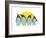 Penguins and Sun. Illustration of Penguins Birds Standing. Vector Eps8-Popmarleo-Framed Art Print