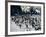 Penguins at Boulder Beach in Simon's Town, Near Cape Town, South Africa, Africa-Yadid Levy-Framed Photographic Print