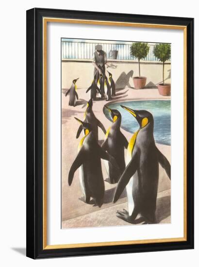 Penguins at the Zoo-null-Framed Premium Giclee Print
