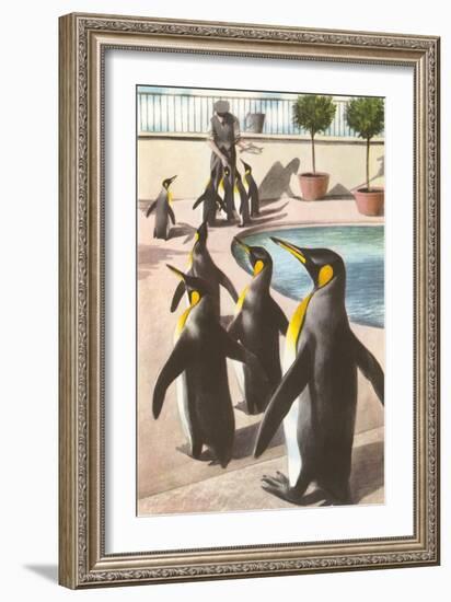 Penguins at the Zoo-null-Framed Art Print