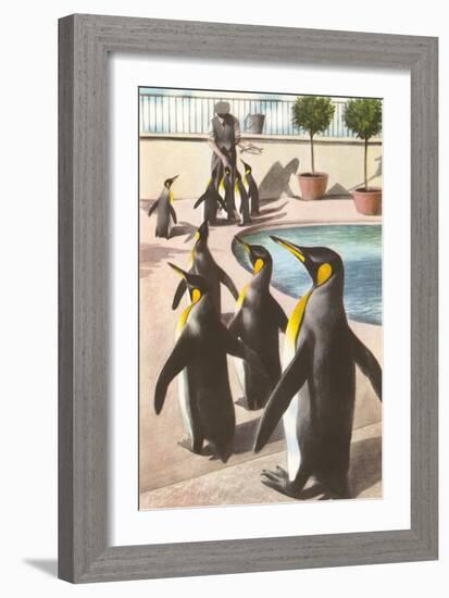 Penguins at the Zoo-null-Framed Art Print