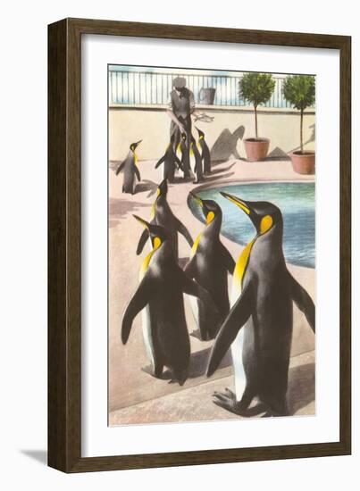 Penguins at the Zoo-null-Framed Art Print